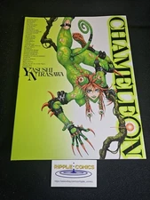 Yasushi Nirasawa Chameleon Collected Art Book English And Japanese