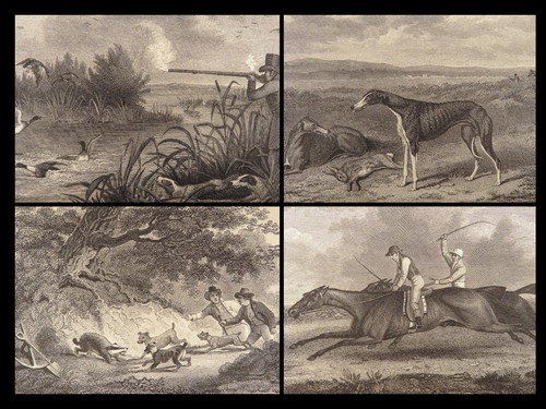 1818 HUNTING 1ed Field Sports Fishing Horse & DOG Fowling Racing FINE BINDING - Picture 4 of 24