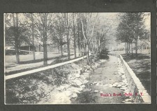 VINTAGE STEELES BROOK,DELHI,NY PICTURE POSTCARD