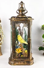 Parakeet Taxidermy Oddities Curiosities  Antique Style Display Collectible gift