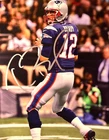 TOM BRADY Signed Autograph 8x10 inch Photo Authentic with COA included