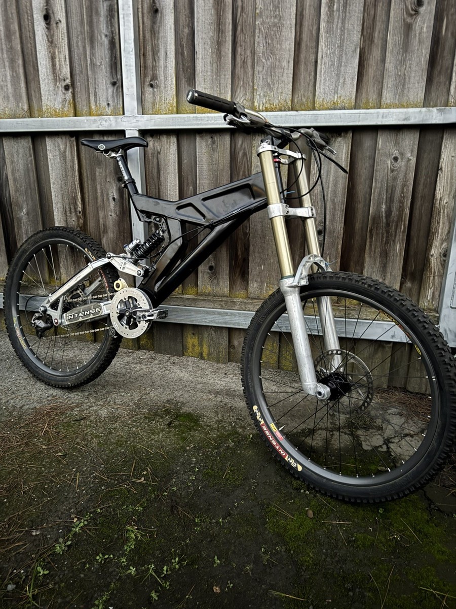 Intense M1 SL Vintage Rare MTB Downhill bike Large PROJECT | eBay