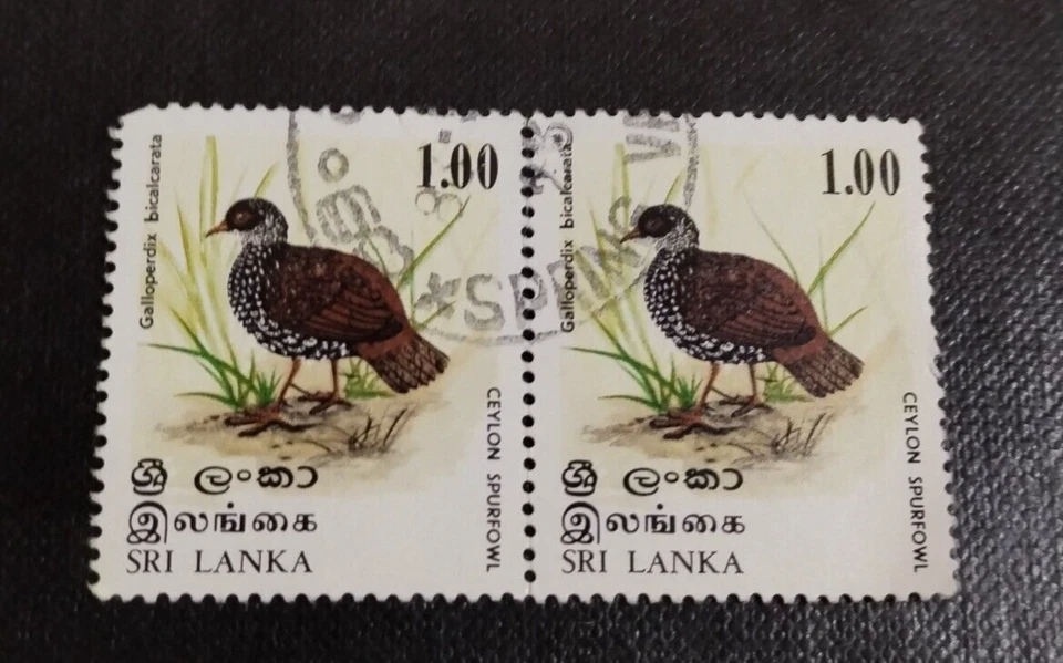 8 x 1979  Sri Lanka Birds / Spurfowl 1r Stamp Used #SG687 - Image 3 of 4