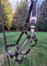 Unique Vintage Circle Y Silver Overlay Show Halter Horse W/Lead