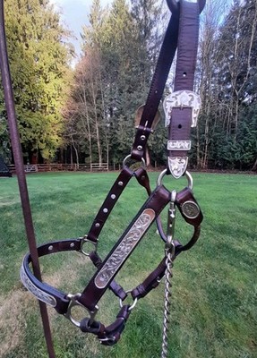 Unique Vintage Circle Y Silver Overlay Show Halter Horse W/Lead