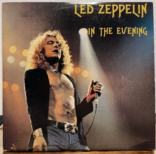 VG++ RARE Classic Rock 2xLP LED ZEPPELIN In The Evening DANE RECORDS