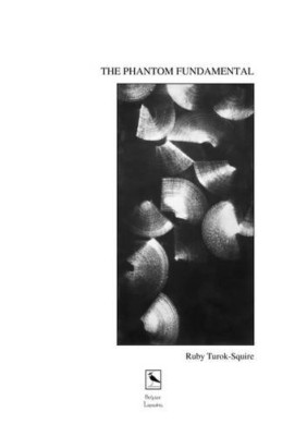 THE Phantom Fundamental - Paperback / softback NEW Turok-Squire, R 03/04/2017