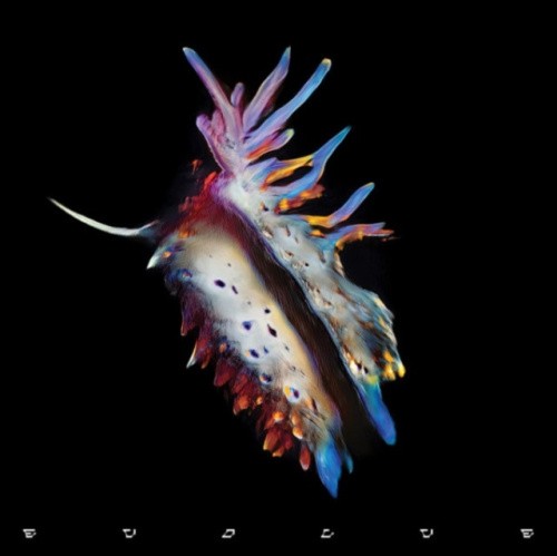EVOLVE (180G)