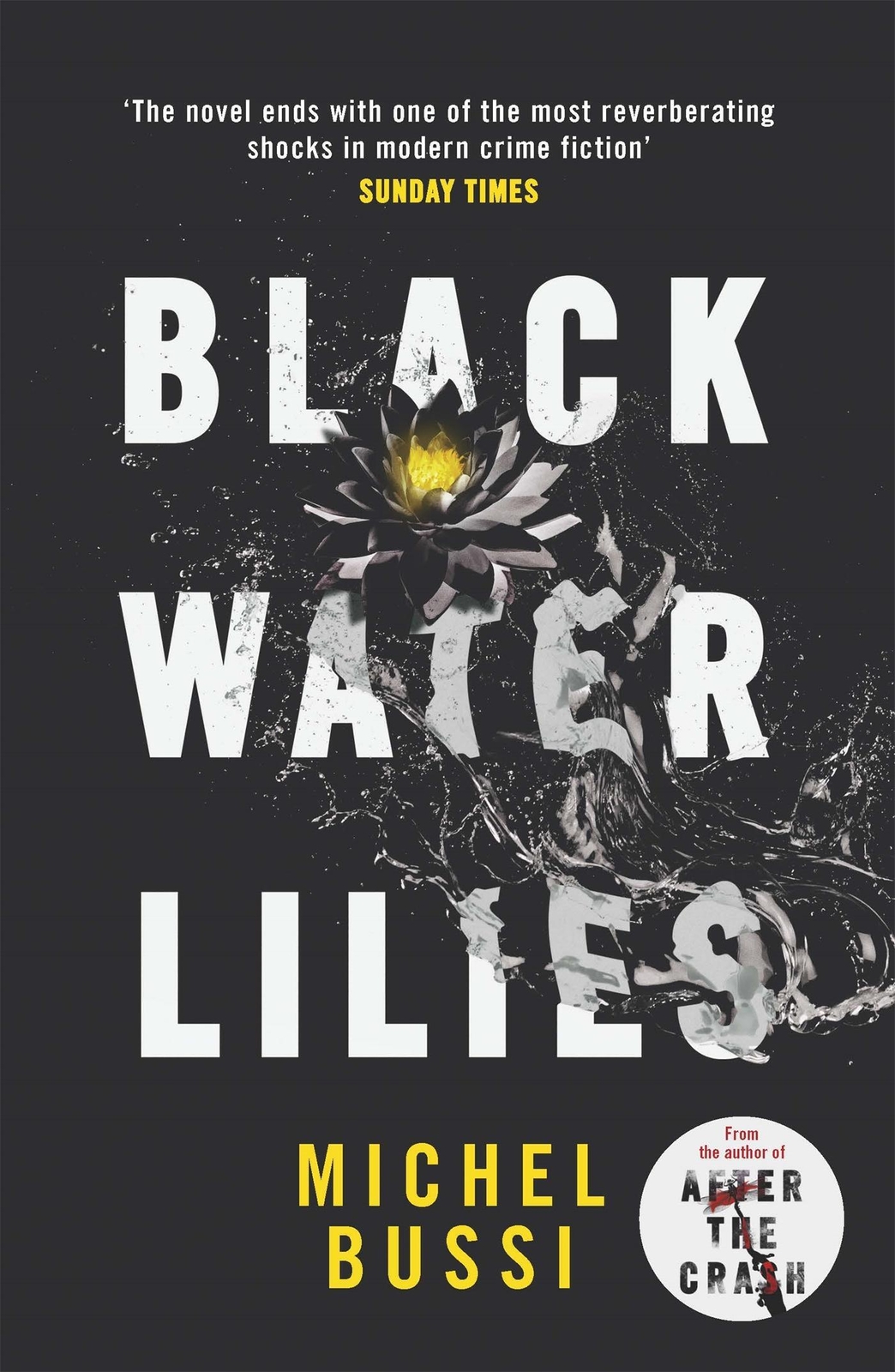 Thumbnail - Michel Bussi | Black Water Lilies | Taschenbuch | Englisch (2017) |