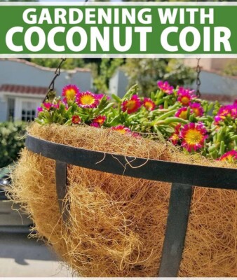 Coconut Husk Fiber 100% Natural Growing Orchids Anthurium Pure Organic Coco Coir