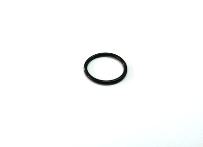 12-10134 Dichtungsing O-Ring für Schlauchanschluss in INTEX BESTWAY Filterpumpe
