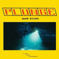 Sam Evian - Plunge 1 X 12 Vinyl Album Release Date 22/03/24 This Can - G3Z