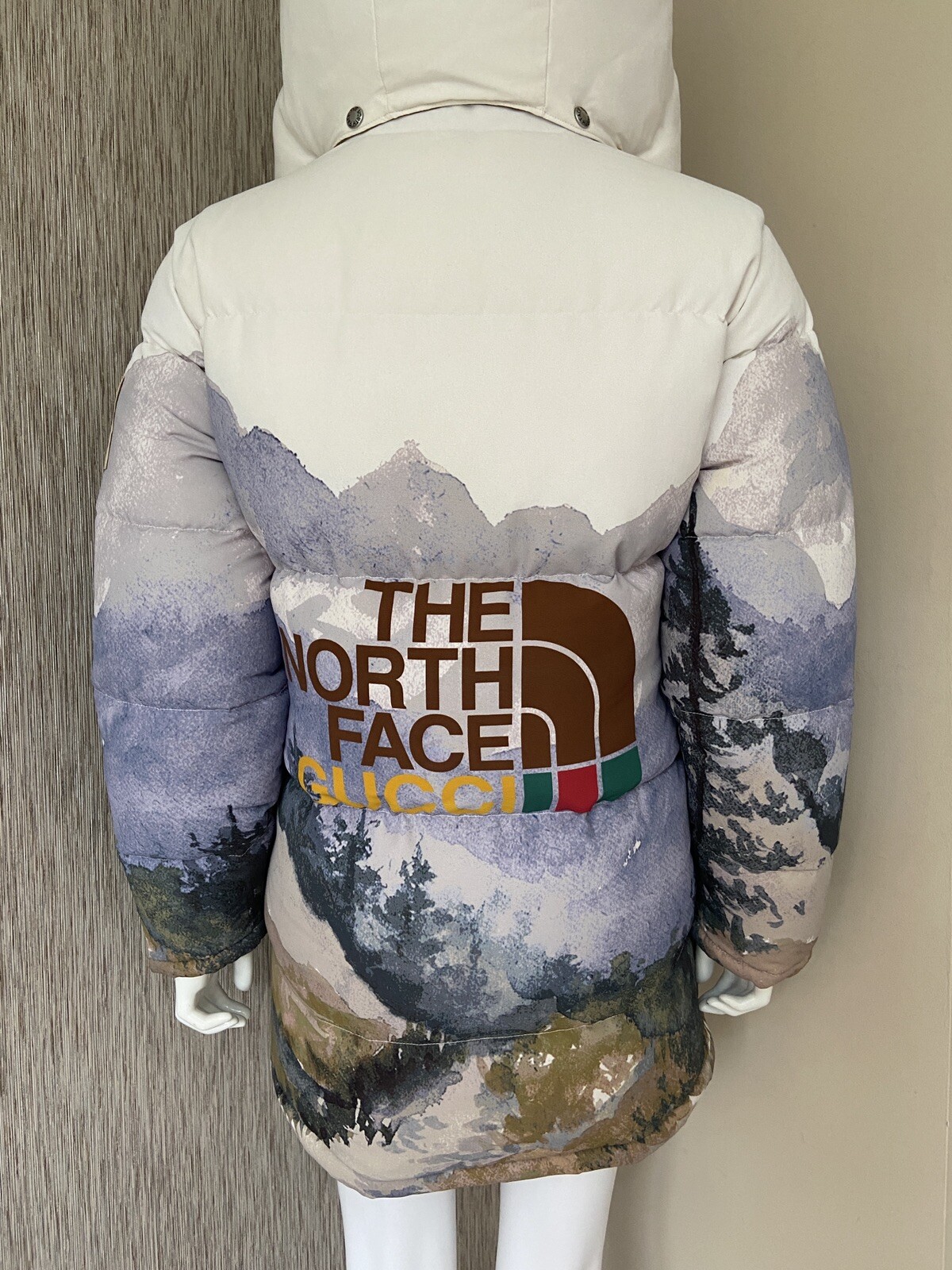 GUCCI x THE NORTH FACE GOOSE DOWN PARKA PUFFER JACKET SIZE XS BNWT.....RARE!!! image 4