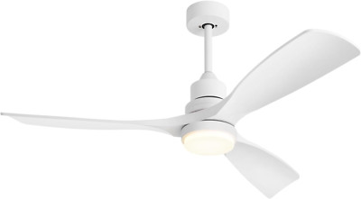 52'' Modern Ceiling Fan with Lights & Remote, 6 Speed, Quiet DC Motor