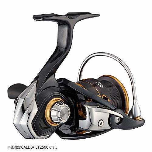DAIWA CALDIA LT2500 ＆ SLP WORKS LTα2500S Amazon.com : Daiwa Caldia LT, 2500D, Spinning Fishing Reel