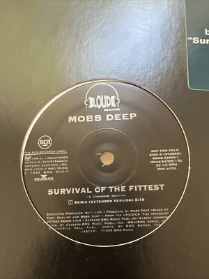 Mobb Deep ***Survival Of The Fittest*** 12  Record  199Five  (Mint)