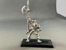 Charioteer w/ Pike Halberd Slaves to Darkness Warriors of Chaos Warhammer METAL