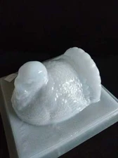 Turkey Gelatin Mold