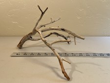 Manzanita Wood, Burnt Driftwood, Reptile Tank Decor, aquascape, Terrarium