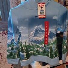 Levi's Boys M 8 Blue Fleece Pullover Hoodie Relaxed Fit Mountain Graphic