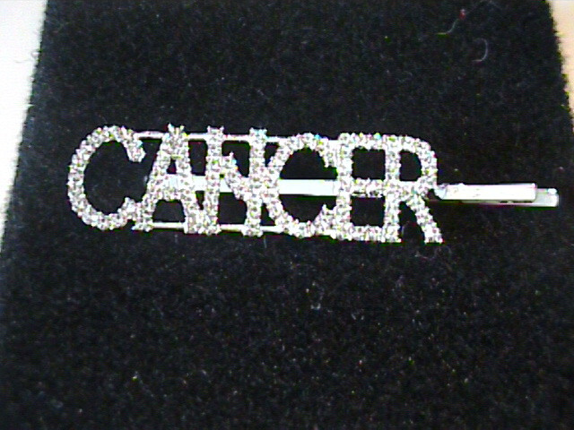 NWOT Rhinestone Cancer Zodiac Hair Bobby Pin