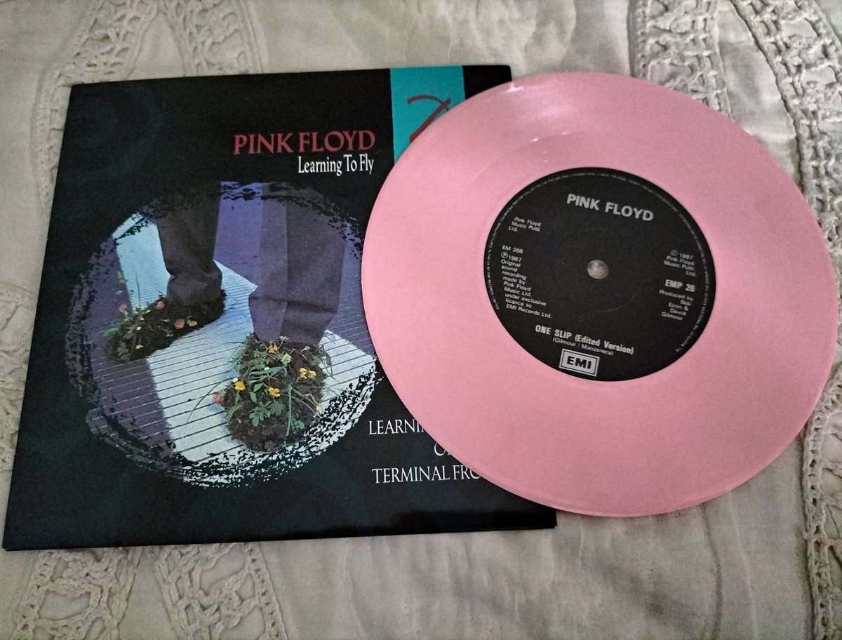 25+ Pink Floyd 7