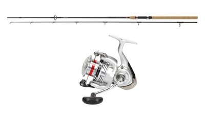 Angelset Spinncombo Daiwa Ninja Spin 2,70m 30-60g + Crossfire LT 4000-C Rolle