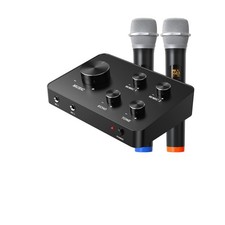 Karaoke Wireless Microphone System - Perfect for Weddings, Parties  Speeches