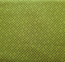 Basically Hugs BTY Helen Stubbings P B Textiles Green Diagonal Boxy Plaid