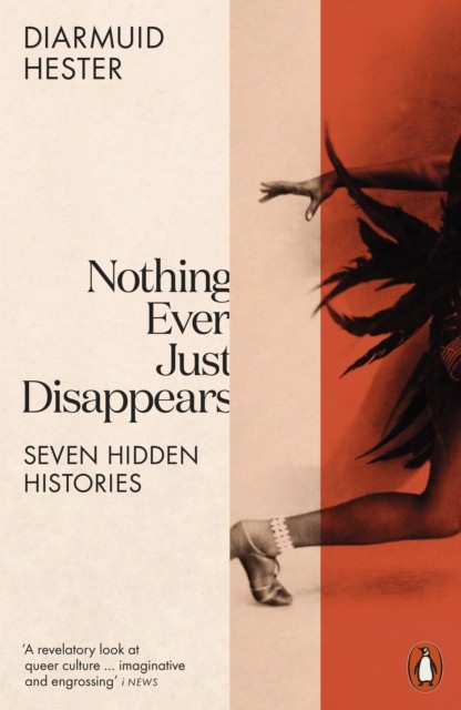 Nothing Ever Just Disappears by Diarmuid Hester (Paperback Book)