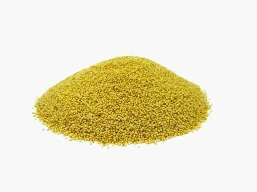 Chinese Orange Giant Amaranth Seeds - 25 Heirloom Seeds For 6-8 Ft Tall Plants