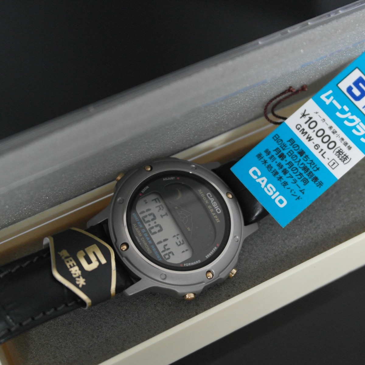 VINTAGE CASIO MOON GRAPH GMW-61 MODULE {832} 1985 Men's Watch TAGS