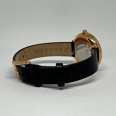 Skagen Signatur SKW2592 Women display picture 3