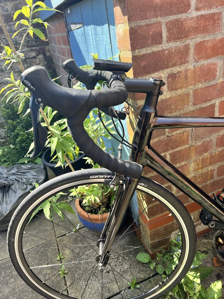 57” Giant Contend 1 Road Bike in Rosewood, photo 4 of 5