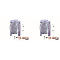 2X Autofren 38Mm Kolben Bremssattel Hinten Passend FüR CitroËN C4 Toyota Avensis