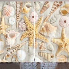 Schale Rustikale Gardine Verschiedene Muscheln Sand Beach