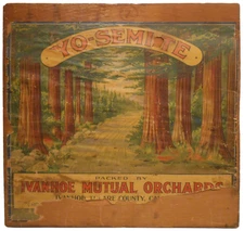 YO-SEMI-TE IVANHOE MUTUAL ORCHARDS TULARE CO CA PAPER LBLD WD BOX CRATE FRNT PNL