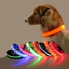 Nylon LED Night Safety Dog Collar – Flashing Glow in the Dark Leash