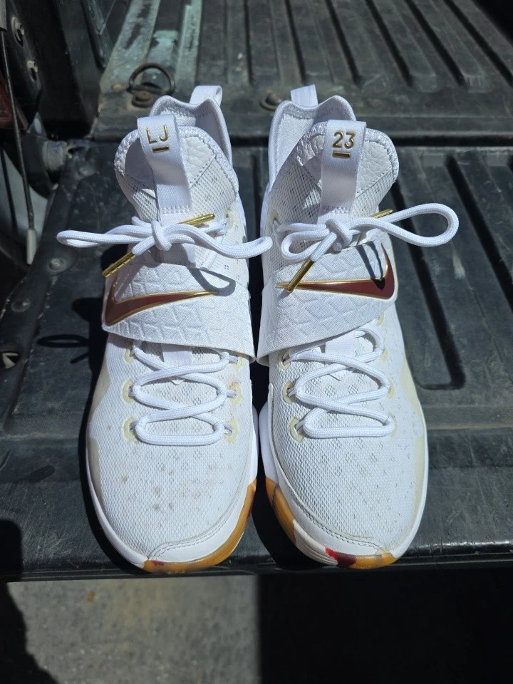 Nike LeBron XIV Men's Sneakers for Sale | Authenticity Guaranteed