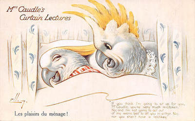 POSTKARTE COMIC MRS CAUDLES VORHANG VORLESUNGEN PAPAGEIEN IM BETT ELLAM STECKUNG