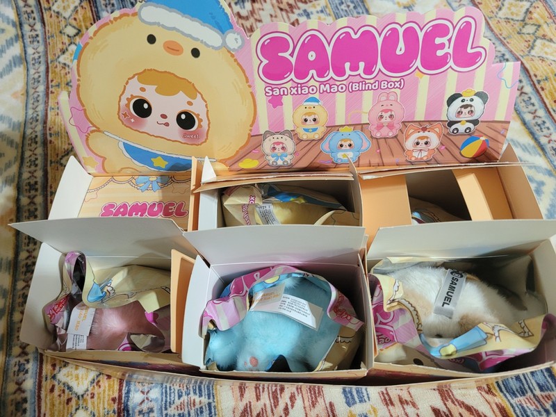 SAMUEL CASE OF 6