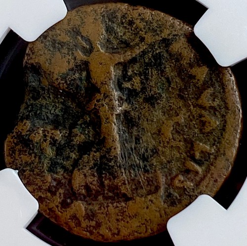 Genuine NGC Certified Ancient Roman Coin Emperor Domitian 81-96 AD AE As - Picture 3 of 9