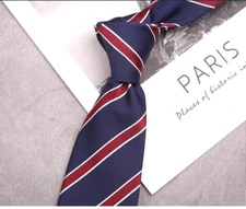 New Classic Striped Blue Red JACQUARD WOVEN 100% Silk Men's Necktie Tie
