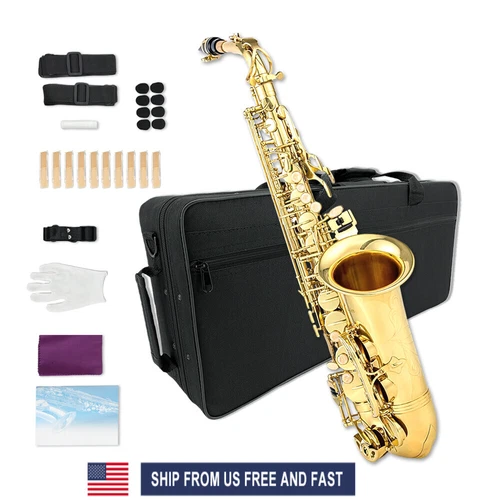 Yinfente Eb flat Alto Saxophone Kit with 10 Reeds ,8 Pads Cushions,For Beginner