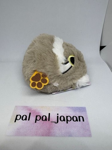 Pallas's cat Sanei Boeki Dango friends plush toy Manul cat H/3in Neko Dang New - Picture 8 of 13