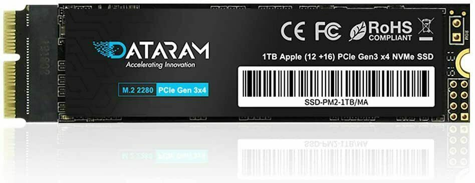 DATARAM 1TB M.2 M-Key PCIe NVMe SSD FOR 2013 APPLE MAC PRO 6,1 ME253LL/A