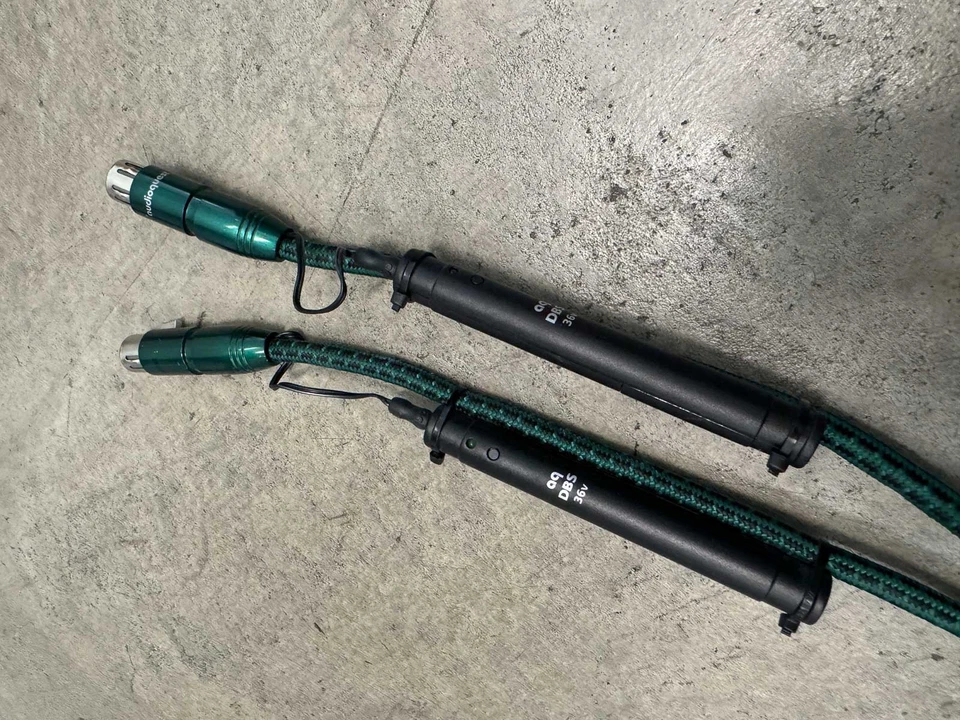 ¡VENTA MUDANZA! AudioQuest Jaguar Powered XLR - PAR Foto 2 de 4