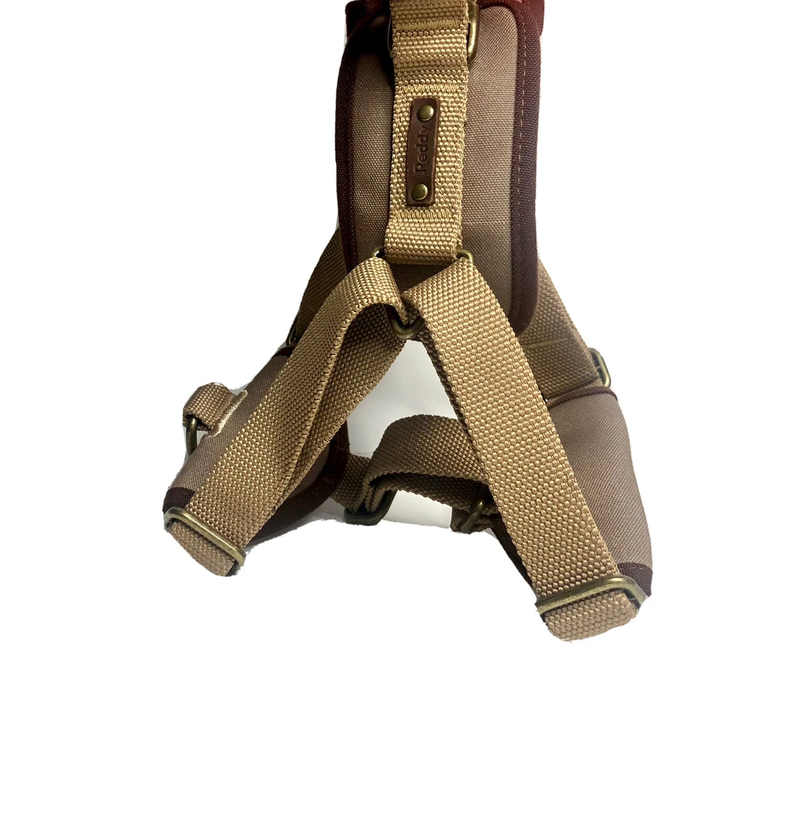 Reddy dog accessories 2025