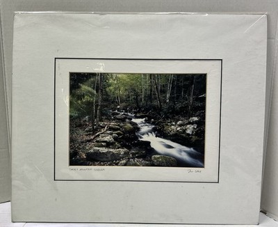 Don Gale Smoky Mountain Stream Photograph Print El Monte California Photographer