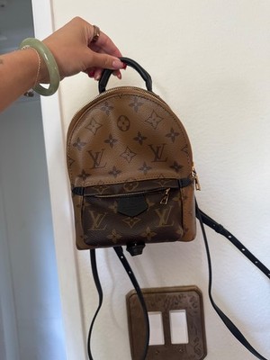 Louis Vuitton Palm Springs Backpack Mini Brown Canvas
